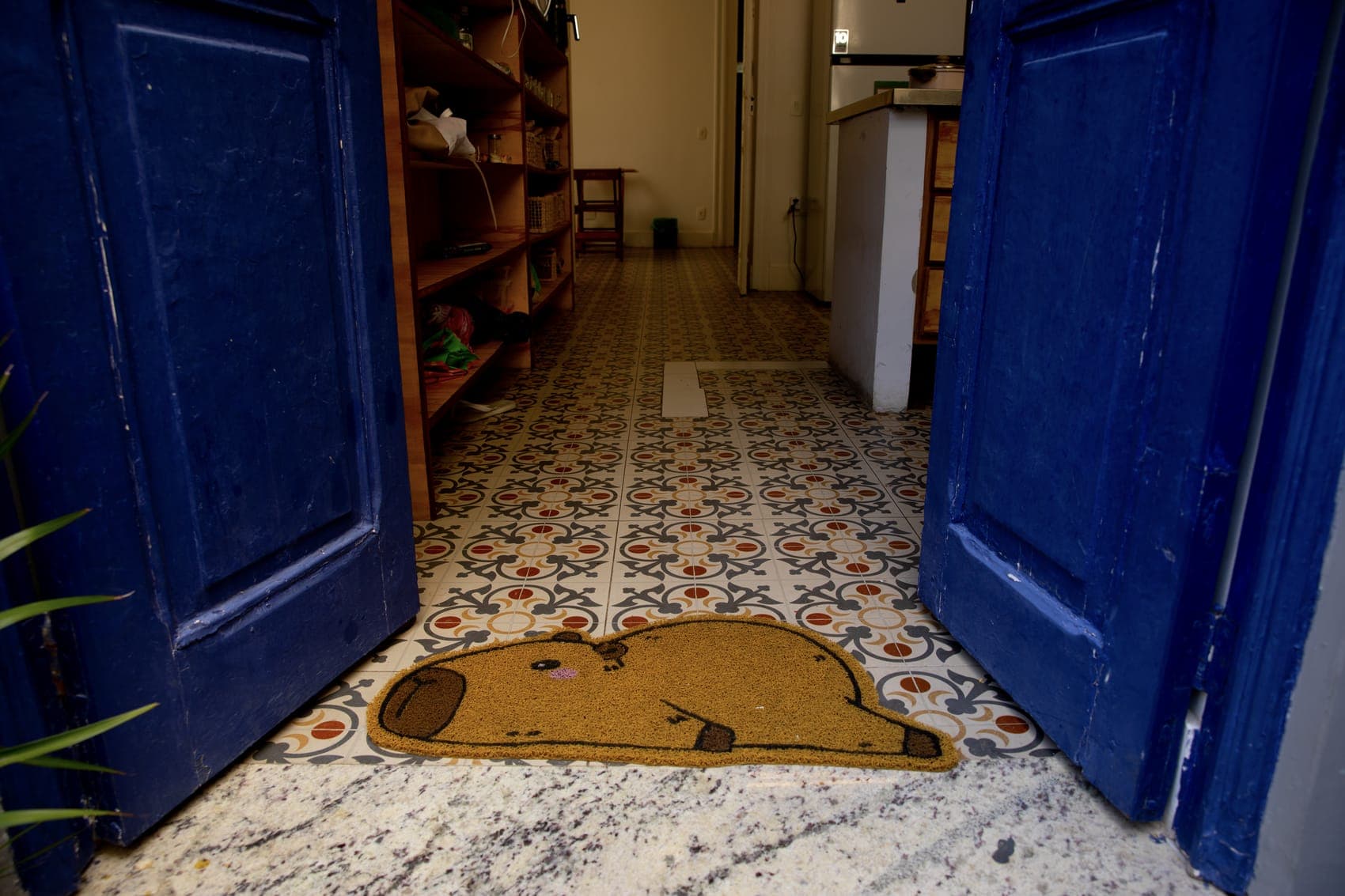 The blue-doored entrance with patterned floor tiles